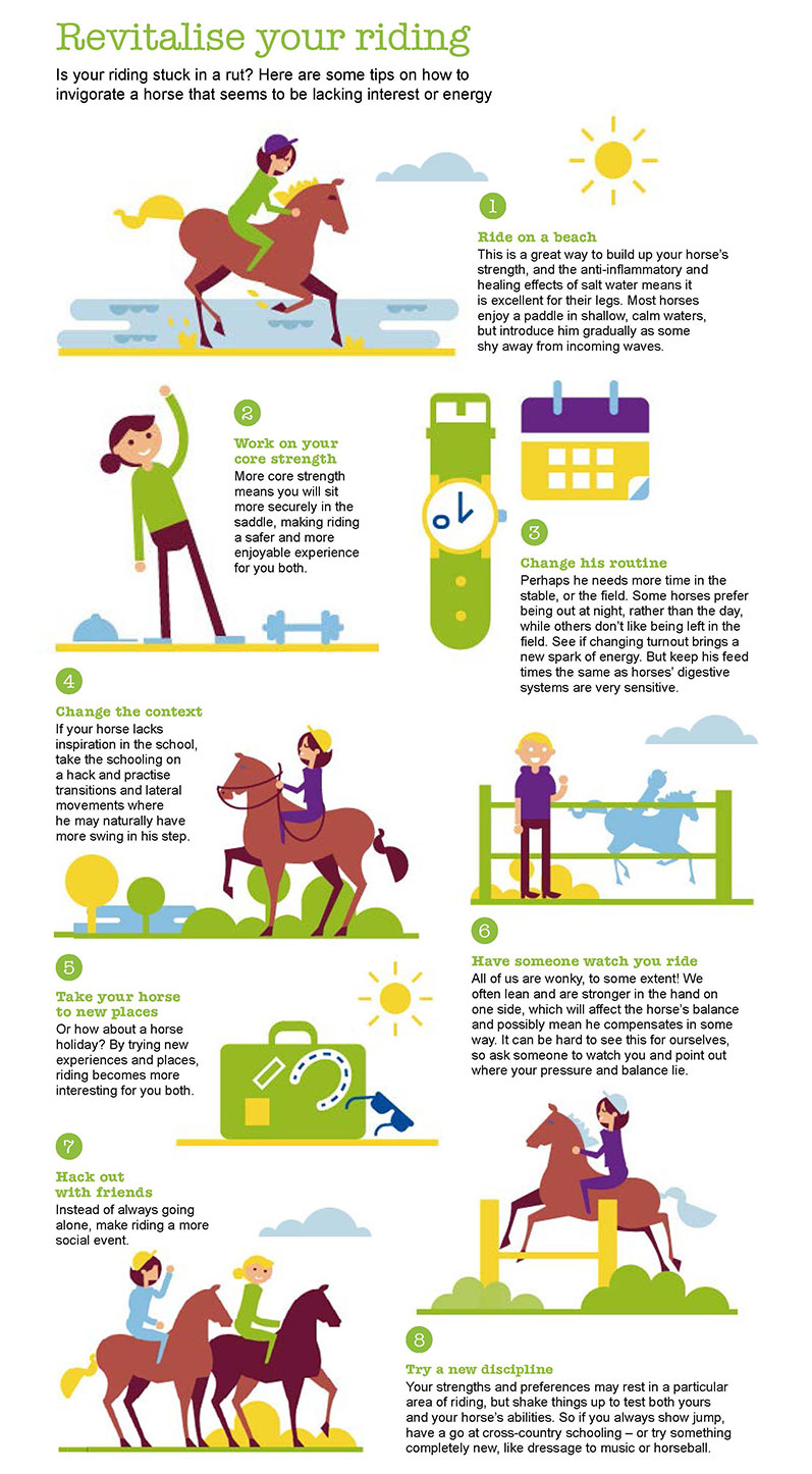 Revitalise your riding | Petplan Equine