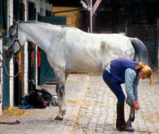 How to Poultice a Foot