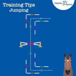Jumping Exercises: The Right Angle Turns img