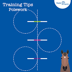 Pole Work Exercises: The Centre Line Circles img