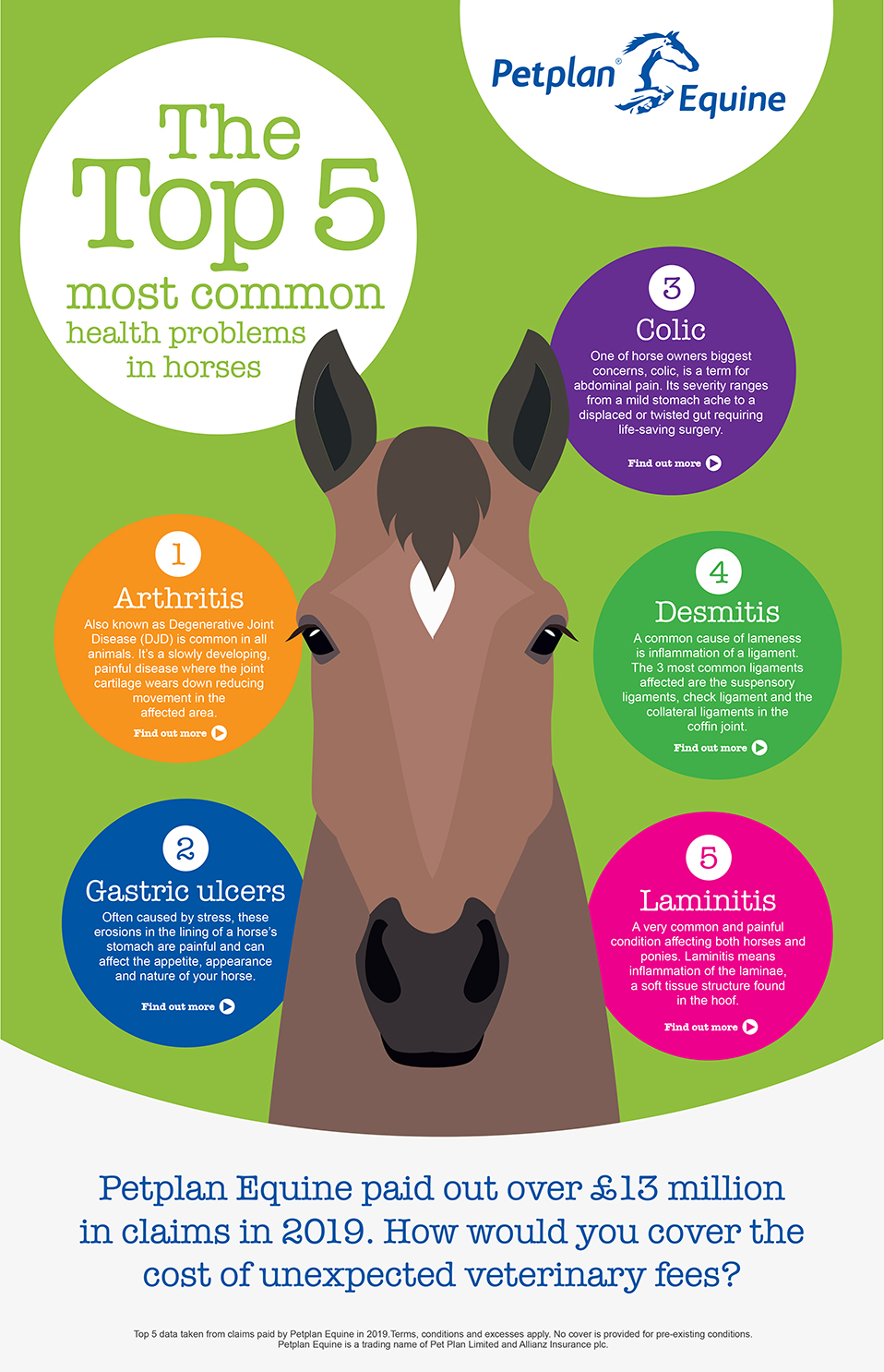 Top 5 Most Common Health Problems in Horses infographic